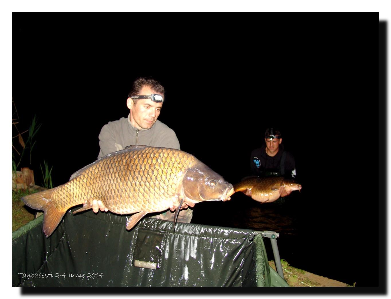 1-4 iunie tancabesti - dsc00345.jpg